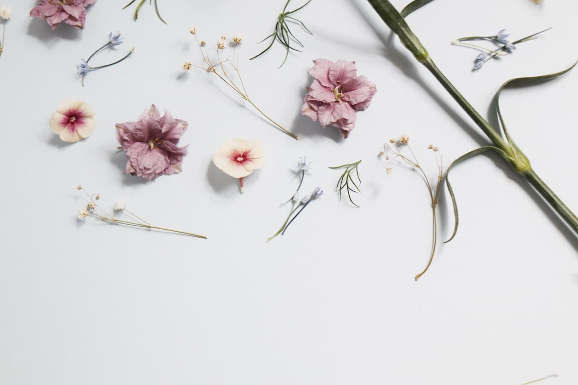 Delicate floral background
